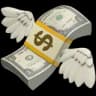 money icon